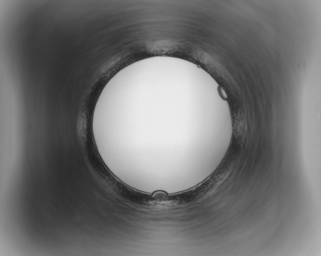 X0000103220448200809181507