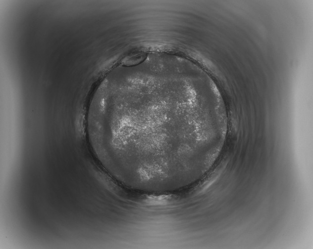 X0000103220450200809181507