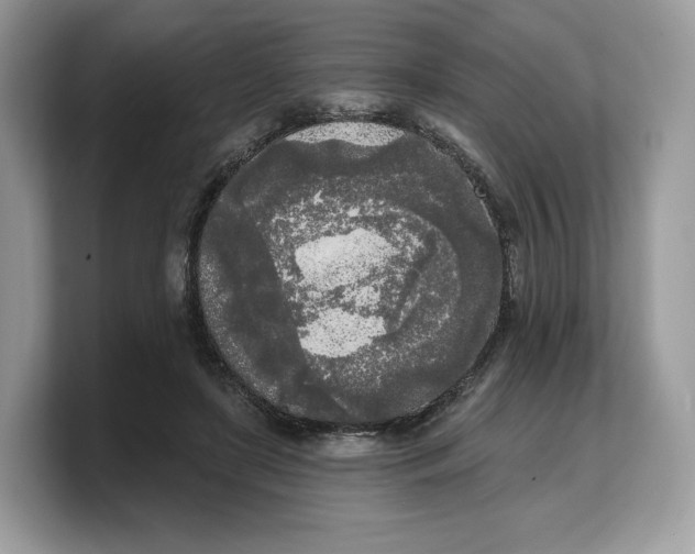 X0000103220451200809181507