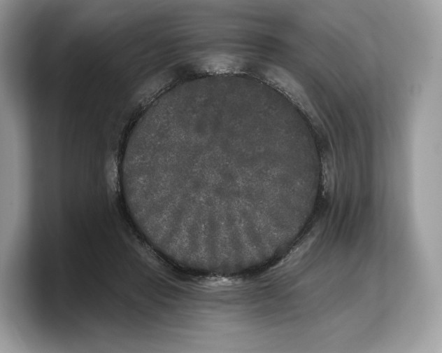 X0000103220453200809181507