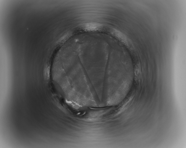 X0000103220454200809181507