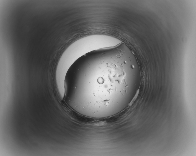 X0000103220456200809181507