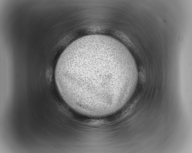 X0000103220458200809181507