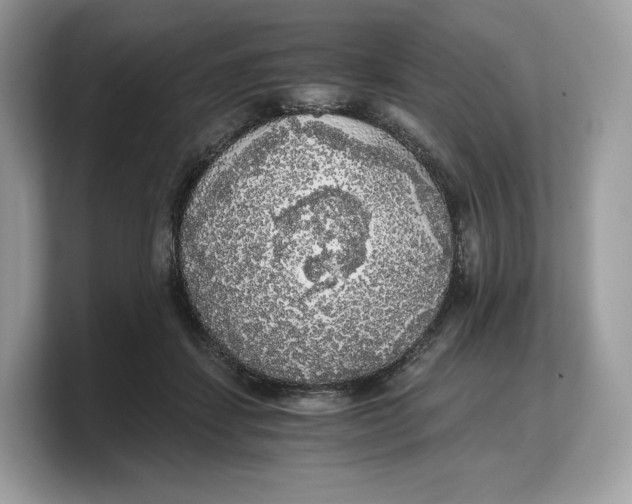 X0000103220459200809181507