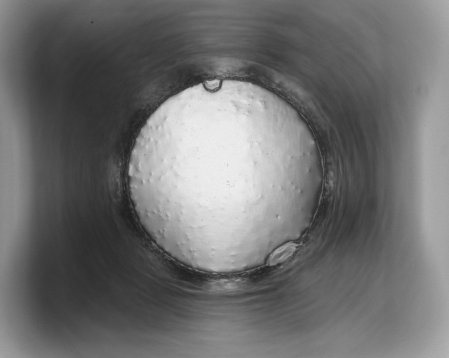 X0000103220461200809181507