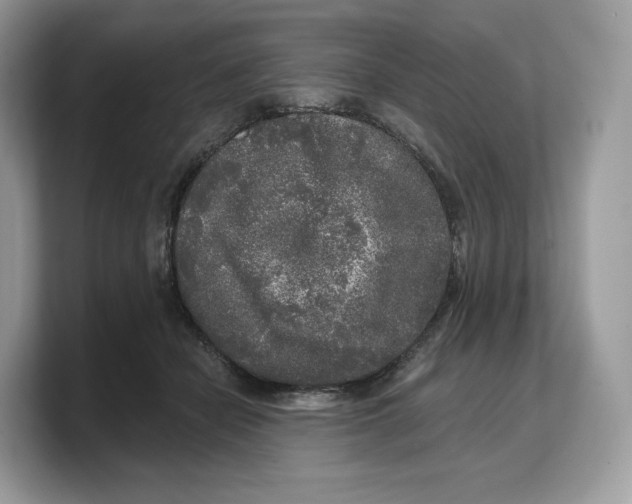 X0000103220462200809181507