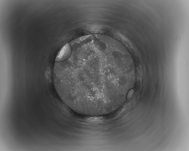 X0000103220465200809181507