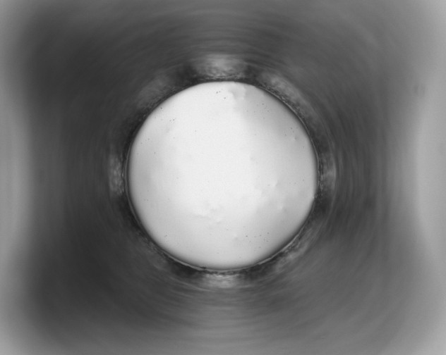 X0000103220469200809181507