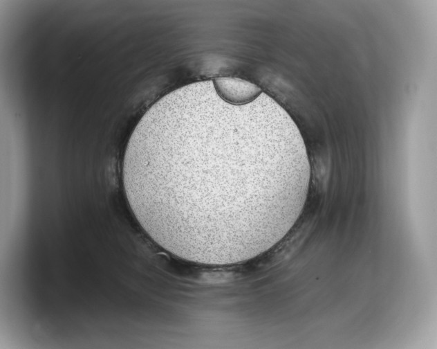 X0000103220470200809181507