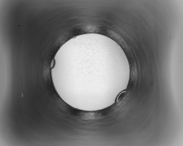 X0000103220473200809181507