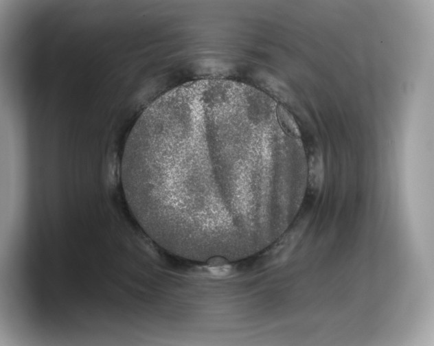 X0000103220474200809181507