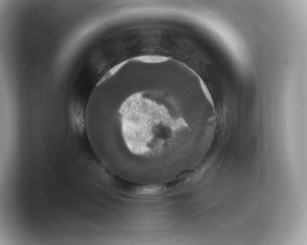 X0000103220479200809181507