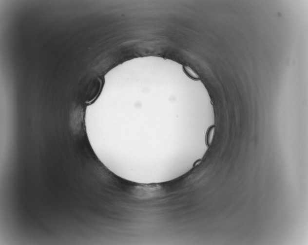 X0000103220480200809181507