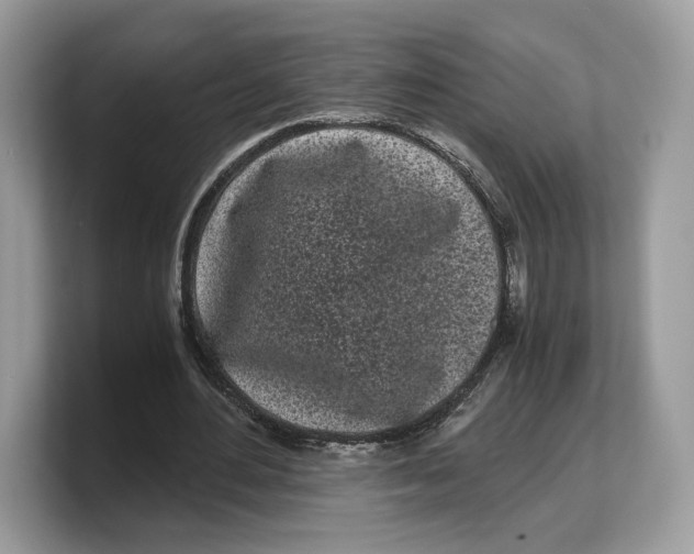 X0000103220484200809181507