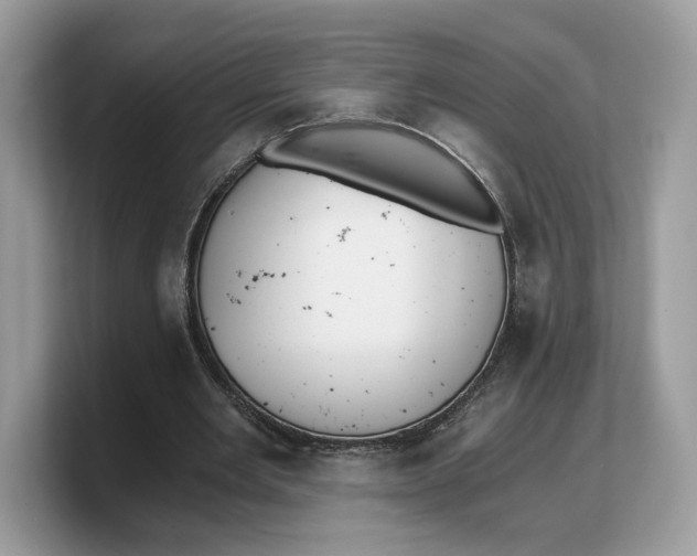 X0000103220485200809181507