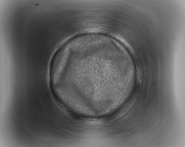 X0000103220486200809181506