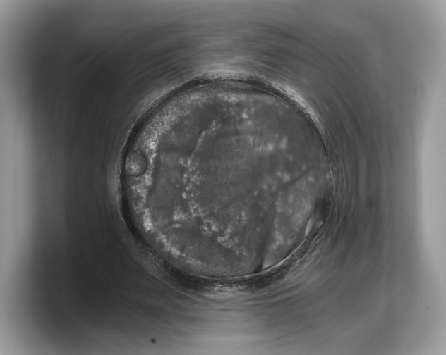 X0000103220487200809181506