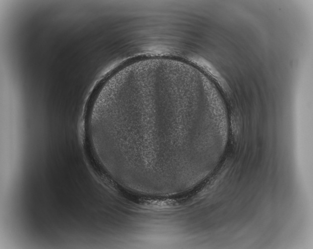 X0000103220488200809181506