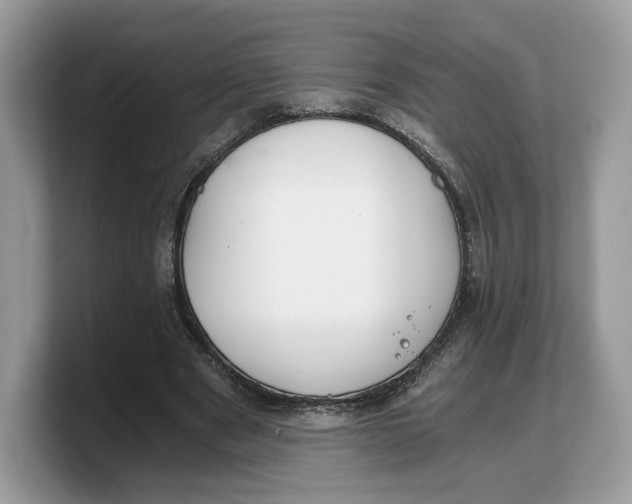 X0000103220489200809181506