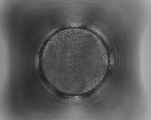 X0000103220492200809181506