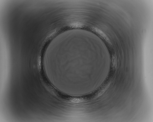 X0000103220494200809181506