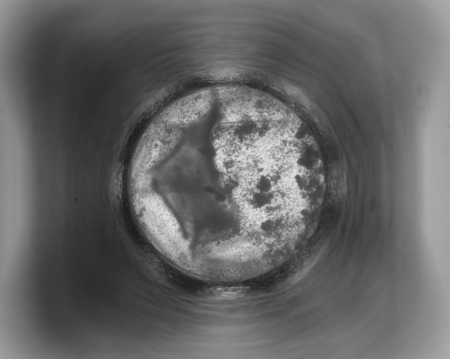 X0000103220495200809181506