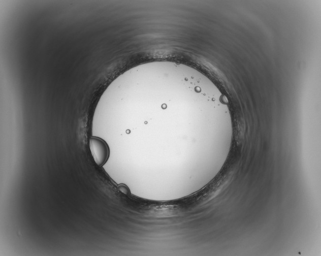 X0000103220497200809181506