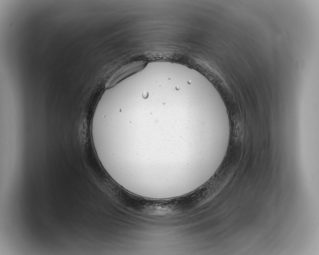 X0000103220498200809181506