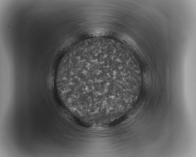 X0000103220499200809181506