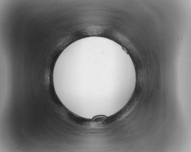 X0000103220501200809181506