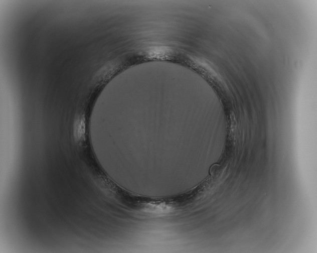 X0000103220502200809181506