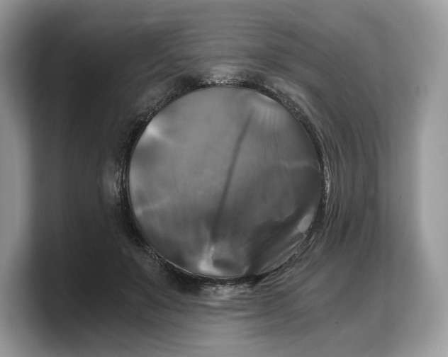 X0000103220503200809181506