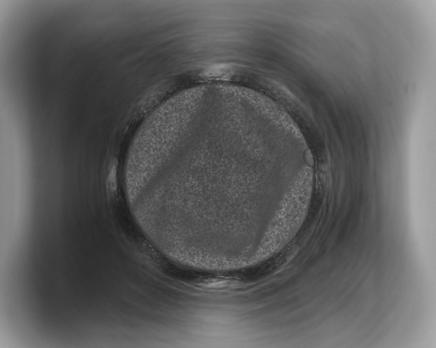 X0000103220504200809181506