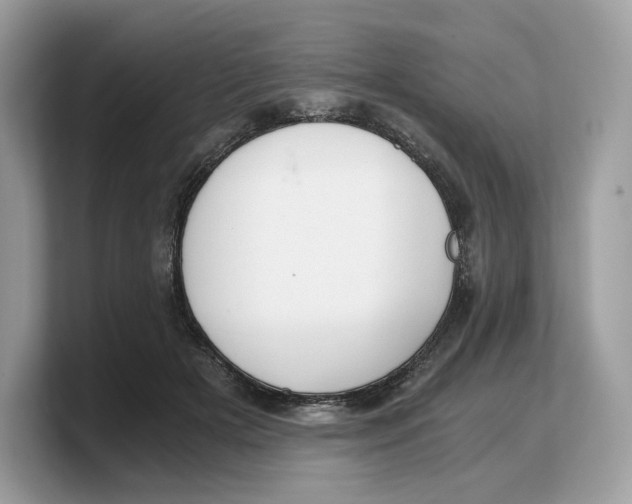 X0000103220505200809181506