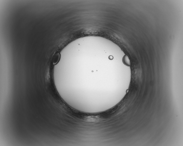 X0000103220508200809181506