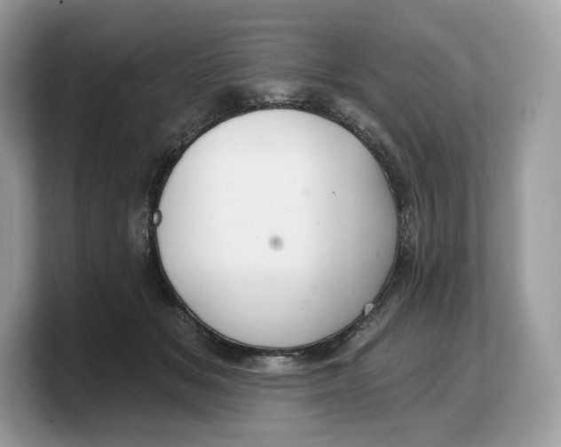 X0000103220509200809181506