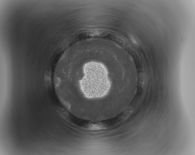 X0000103220510200809181506