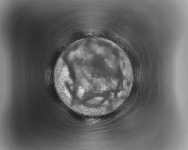 X0000103220511200809181506