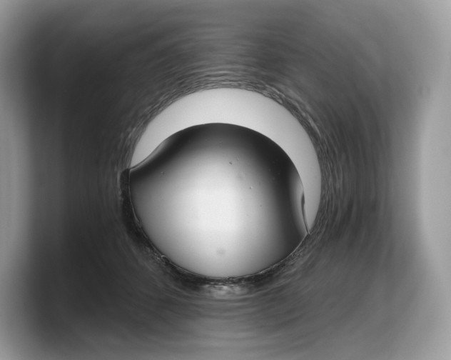 X0000103220512200809181506