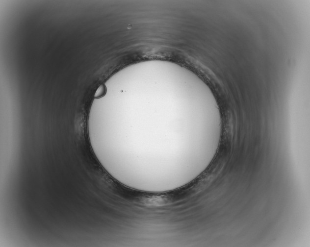 X0000103220513200809181506