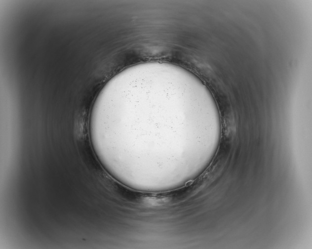 X0000103220515200809181506