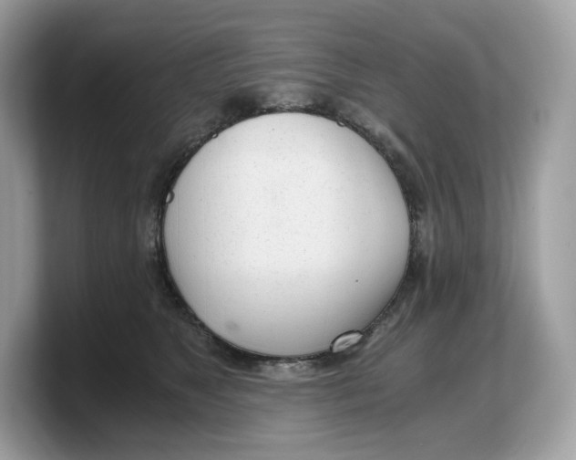 X0000103220517200809181506