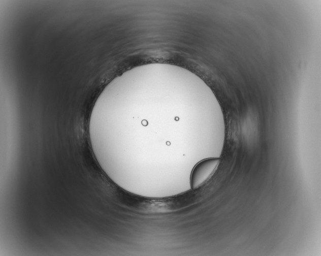 X0000103220518200809181506