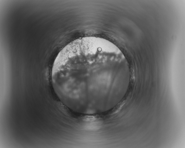 X0000103220519200809181506