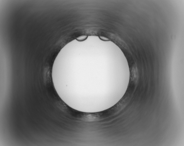 X0000103220522200809181506