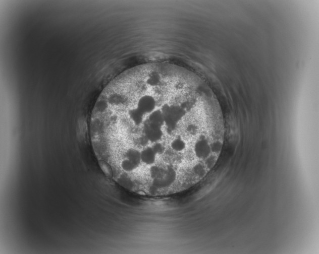 X0000103220523200809181506