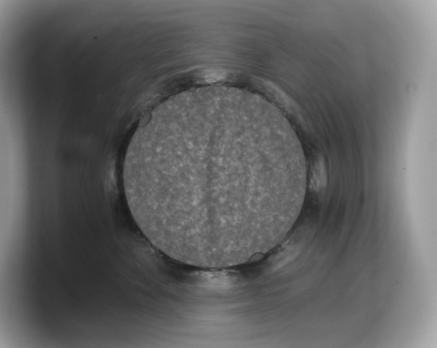 X0000103220524200809181506