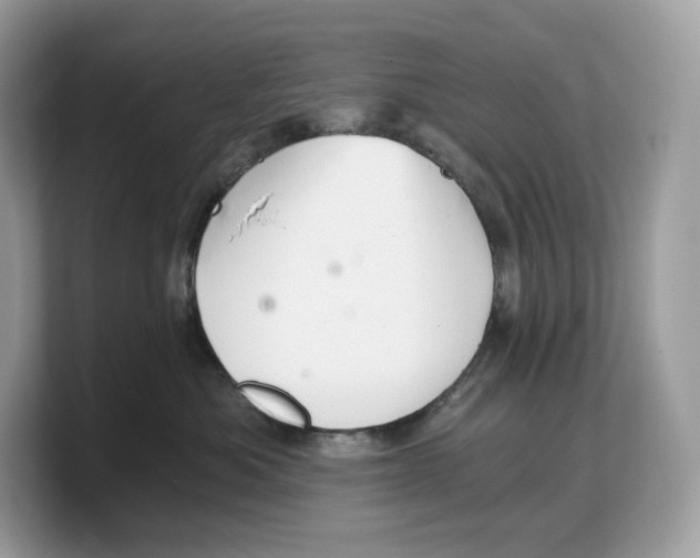 X0000103220525200809181506