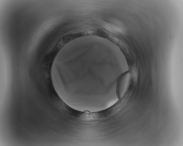 X0000103220526200809181506