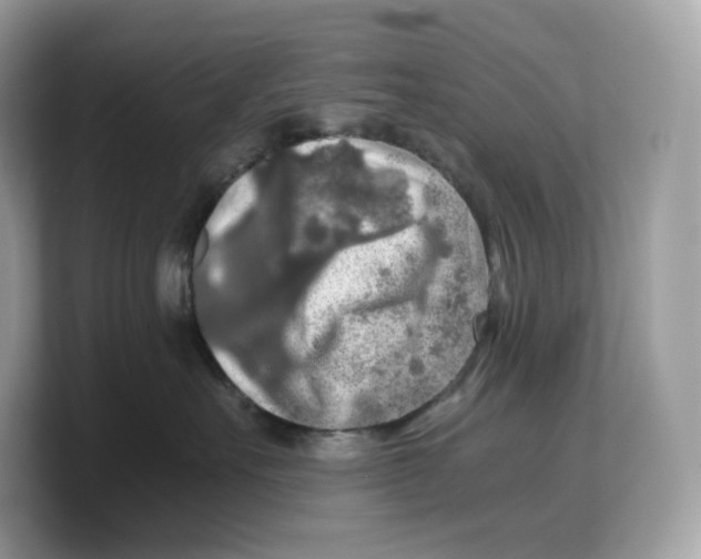 X0000103220527200809181506